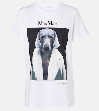 T-shirt Cipria in jersey di cotone | Max Mara