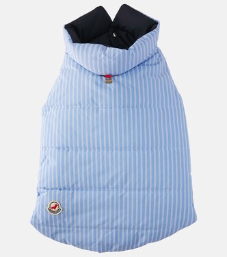 Manteau pour chien rayé Moncler Poldo Dog Couture | Moncler