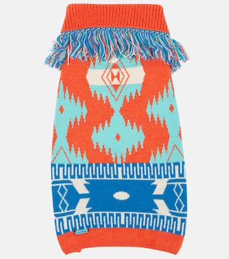x Poldo Dog Couture dog sweater | Alanui
