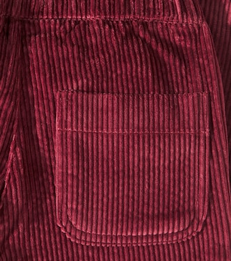 Pantaloni regular Benito in velluto | La Coqueta