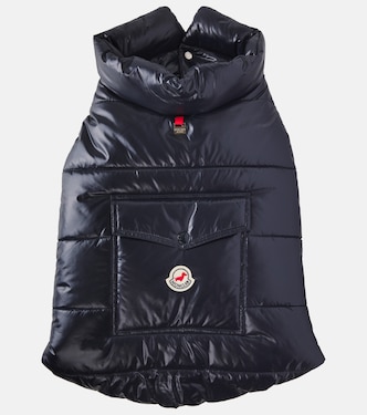 Manteau pour chien Moncler Poldo Dog Couture | Moncler