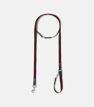 Web Stripe dog leash | Gucci