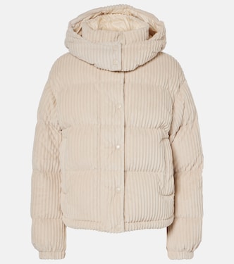 Daunenjacke Daos aus Cord | Moncler