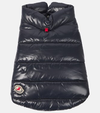 Moncler Poldo Dog Couture dog coat | Moncler