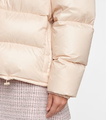 Nylon quilted down jacket | Miu Miu