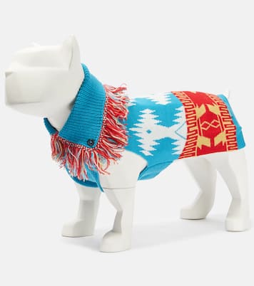 x Poldo Dog Couture dog sweater | Alanui