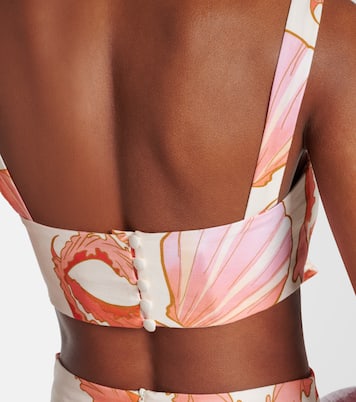 Top bralette Seashell | Adriana Degreas