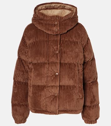 Daunenjacke Daos aus Cord | Moncler