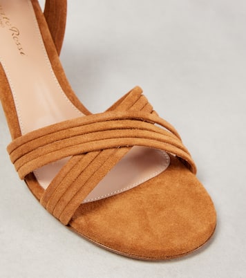 Sandales CrissCross 70 en daim | Gianvito Rossi