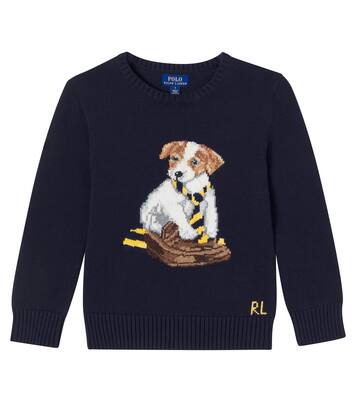 인타르시아 코튼 스웨터 | Polo Ralph Lauren Kids