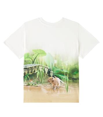 T-shirt Rubin in jersey di cotone | Molo