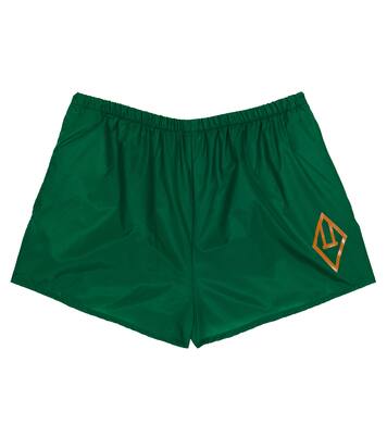 Puppy swim trunks | The Animals Observatory