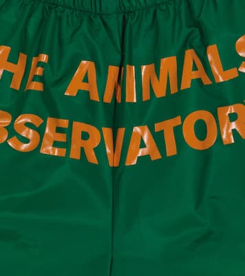 Puppy swim trunks | The Animals Observatory