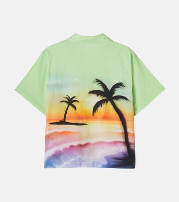 Rui printed cotton shirt  | Molo