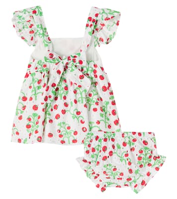 Baby printed cotton dress and bloomers set | Fábula