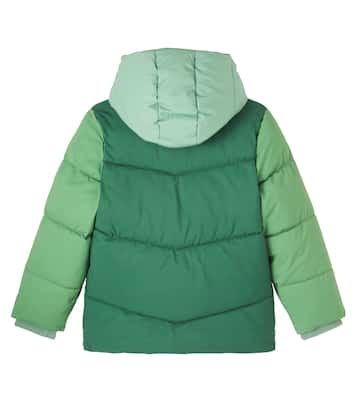 Colorblocked puffer jacket | Roarsome
