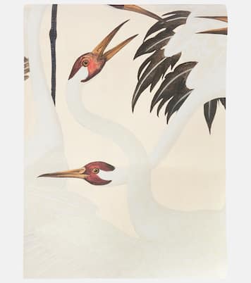 Heron wallpaper | Gucci