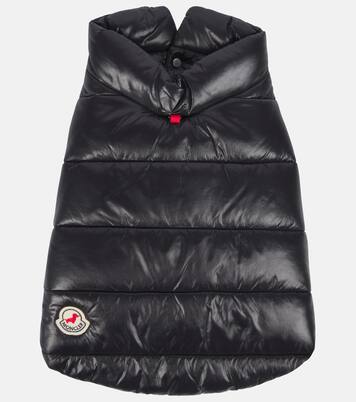 Chaleco acolchado para perro Moncler Poldo Dog Couture | Moncler