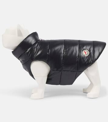 Chaleco acolchado para perro Moncler Poldo Dog Couture | Moncler