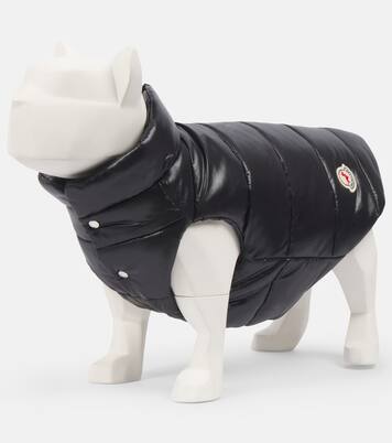 Chaleco acolchado para perro Moncler Poldo Dog Couture | Moncler
