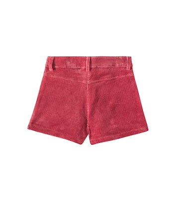 Shorts in velluto a coste di cotone | Tartine et Chocolat
