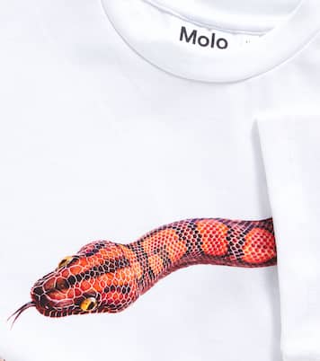 Camiseta en jersey de algodón estampada | Molo