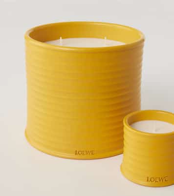 Bougie parfumée Wasabi | Loewe Home Scents