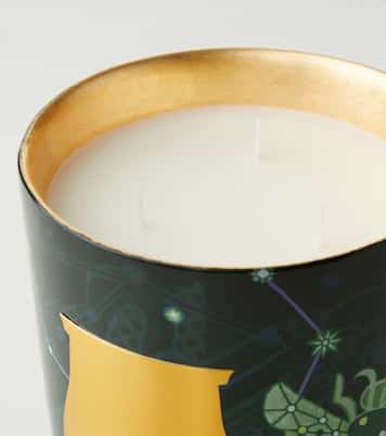 Fir Intermediate scented candle | Trudon