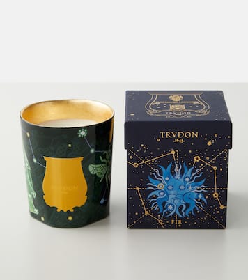 Fir Intermediate scented candle | Trudon