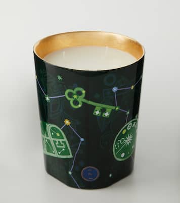 Fir Intermediate scented candle | Trudon