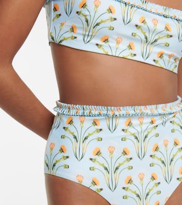 Nopal Diente de León bikini bottoms | Agua by Agua Bendita