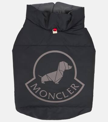 Chaleco acolchado para perro Poldo Dog Couture | Moncler