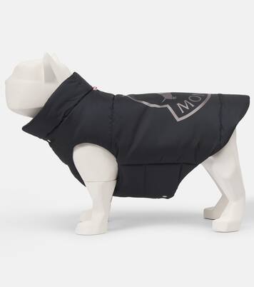 Chaleco acolchado para perro Poldo Dog Couture | Moncler