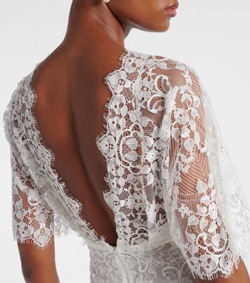 Bridal embroidered cotton-blend lace gown | Elie Saab