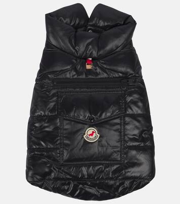 Chaleco acolchado para perro Moncler Poldo Dog Couture | Moncler
