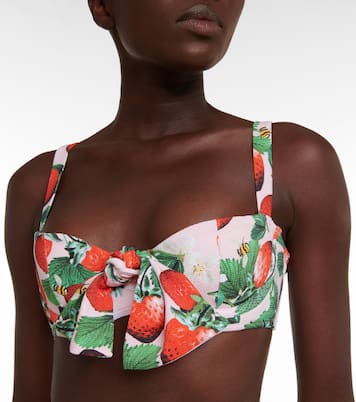 Clara printed bikini top | Alexandra Miro