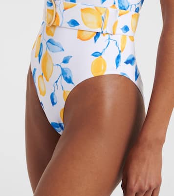 Jeanie belted printed swimsuit | Alexandra Miro