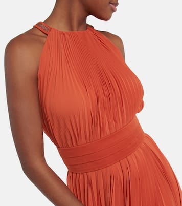 Golena belted pleated midi dress | Max Mara