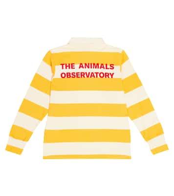 Rugby Shirt Eel | The Animals Observatory