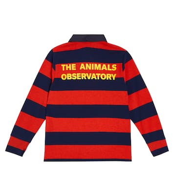 Rugby Shirt Eel | The Animals Observatory