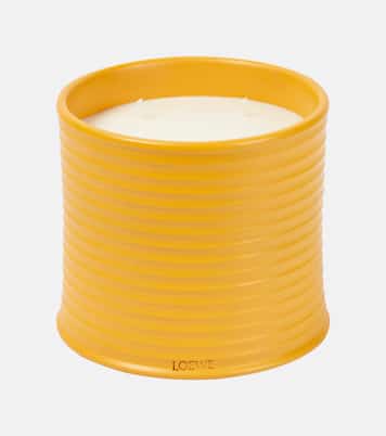 Bougie parfumée Wasabi Large | Loewe Home Scents