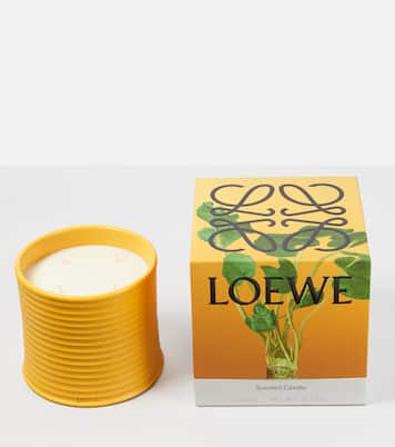 Bougie parfumée Wasabi Large | Loewe Home Scents