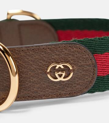 Web Stripe L/XL faux leather dog collar | Gucci