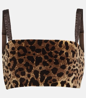 Top cropped in velluto con stampa | Dolce&Gabbana