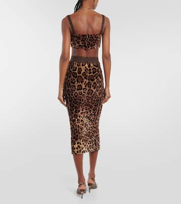 Top cropped in velluto con stampa | Dolce&Gabbana