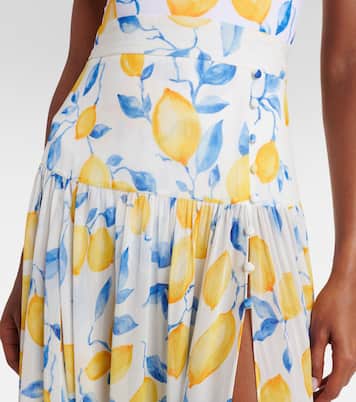 Jamie sheer maxi skirt | Alexandra Miro
