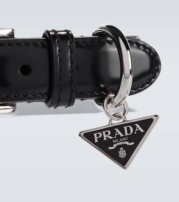 레더 펫 칼라 | Prada