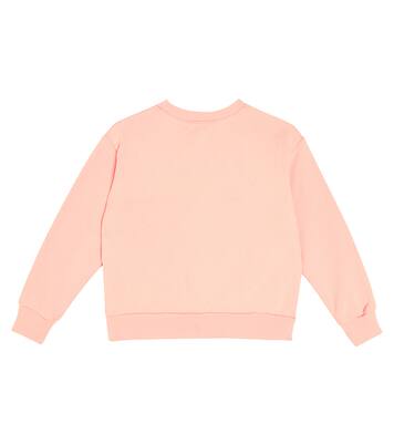 Sudadera Bear en jersey de algodón | The Animals Observatory