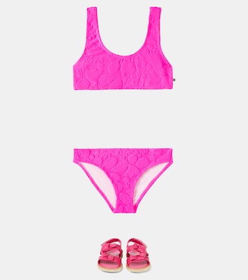 Nola terry bikini | Molo