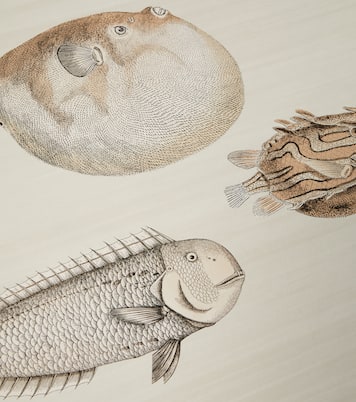 x Cole & Son – Papier peint Acquario | Fornasetti
